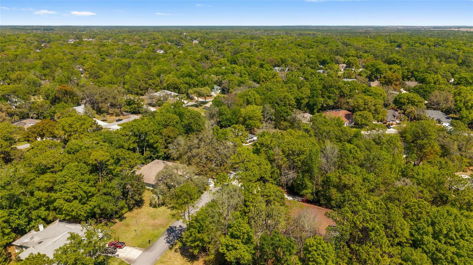 RAINBOW SPRINGS COUNTRY CLUB - Residential