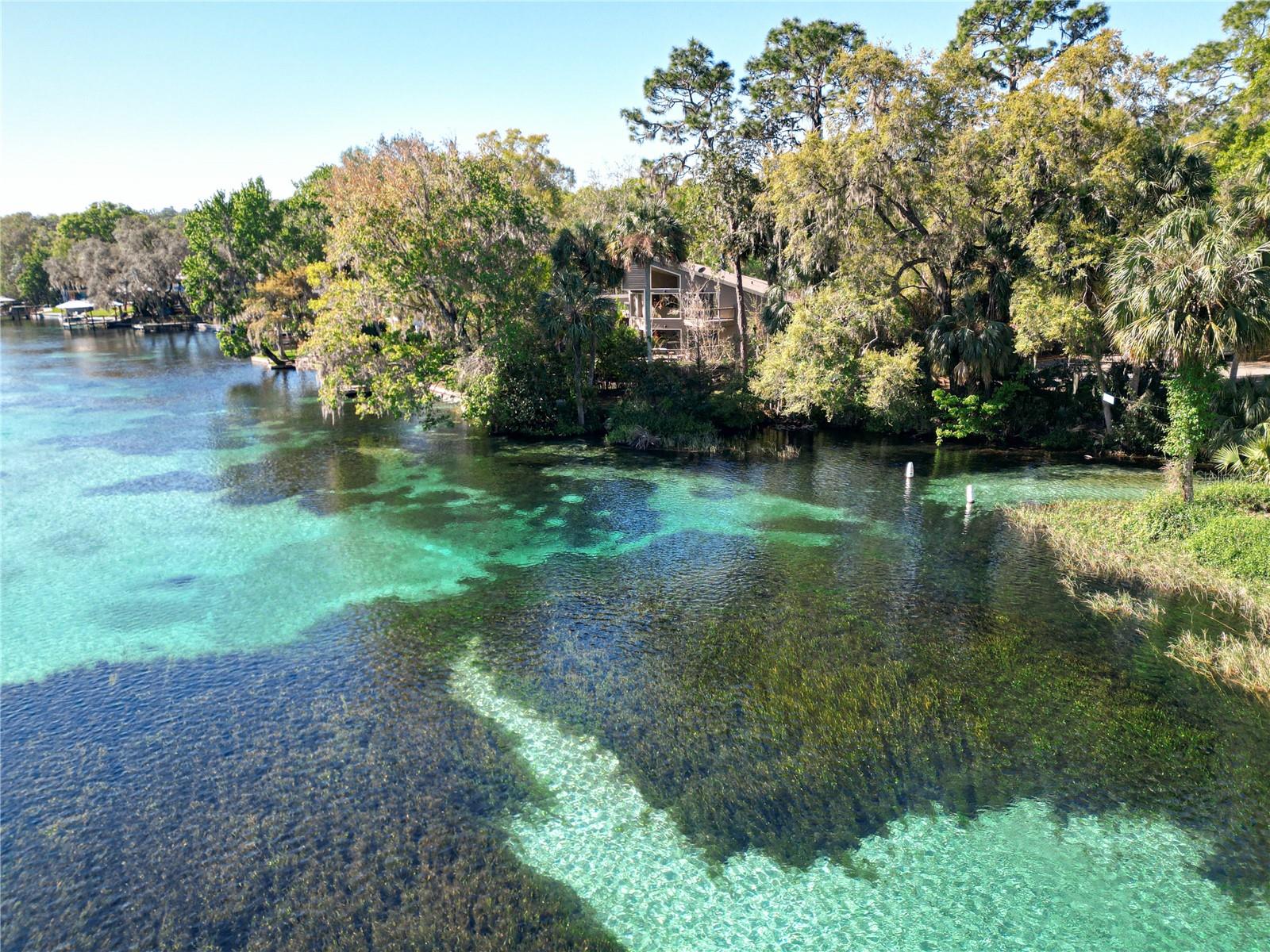 RAINBOW SPRINGS COUNTRY CLUB - Residential