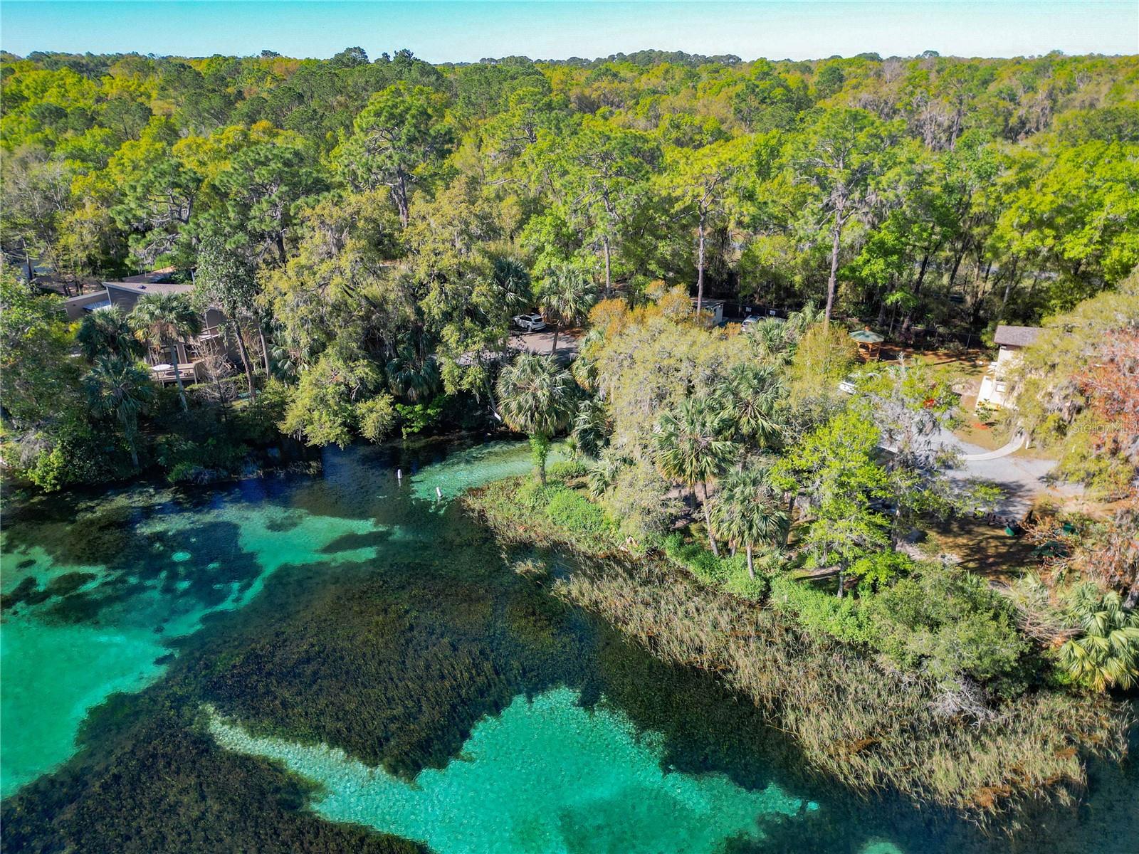 RAINBOW SPRINGS COUNTRY CLUB - Residential