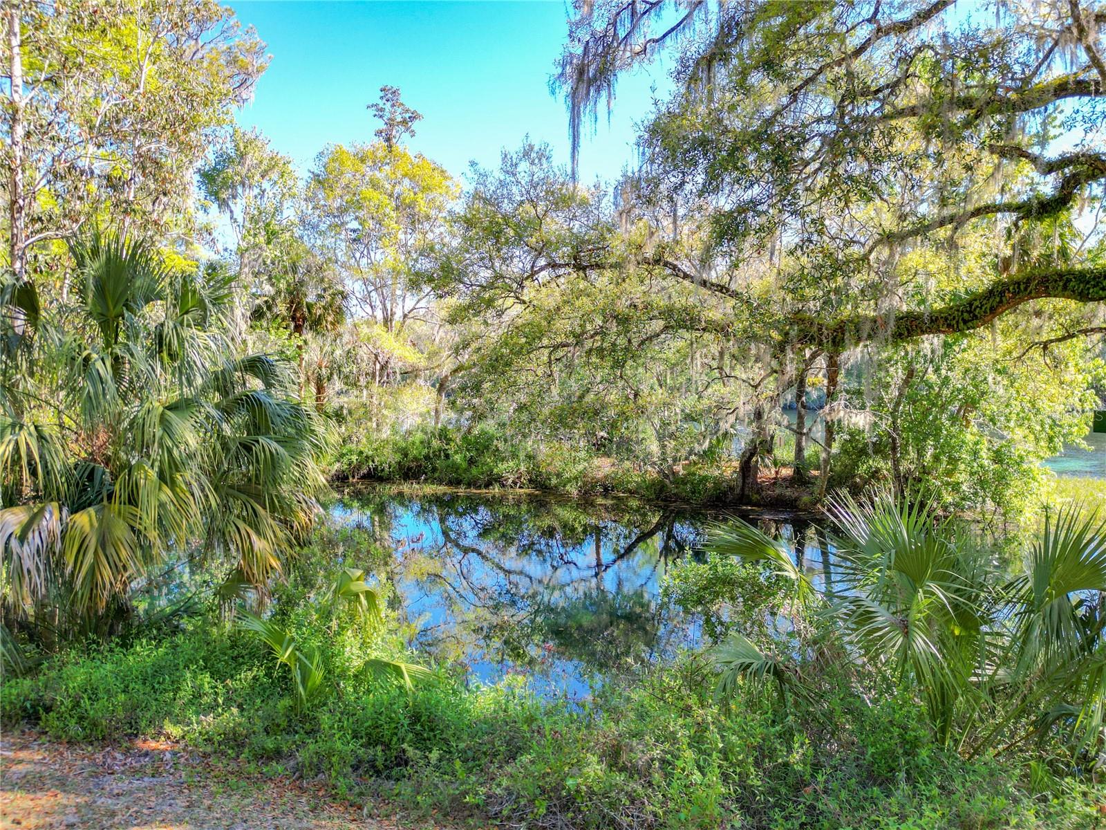 RAINBOW SPRINGS COUNTRY CLUB - Residential
