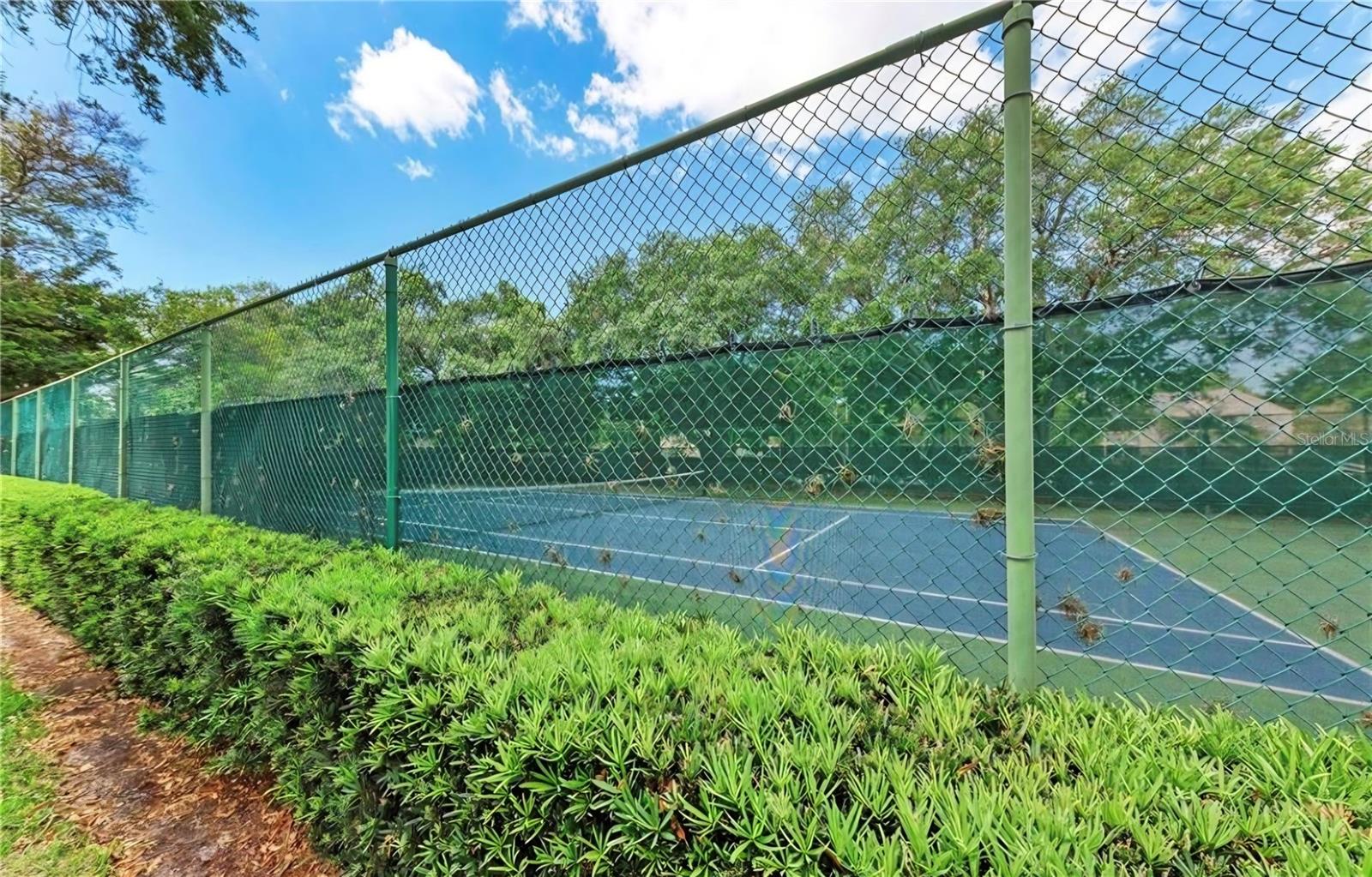 HARBOR PINES - Residential