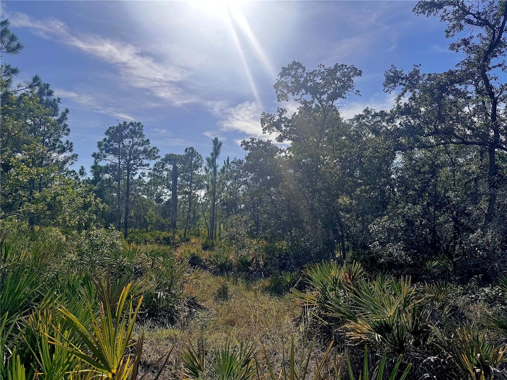 Photo of Rydal Road, Weeki Wachee, FL 34614 (MLS # TB8537646)