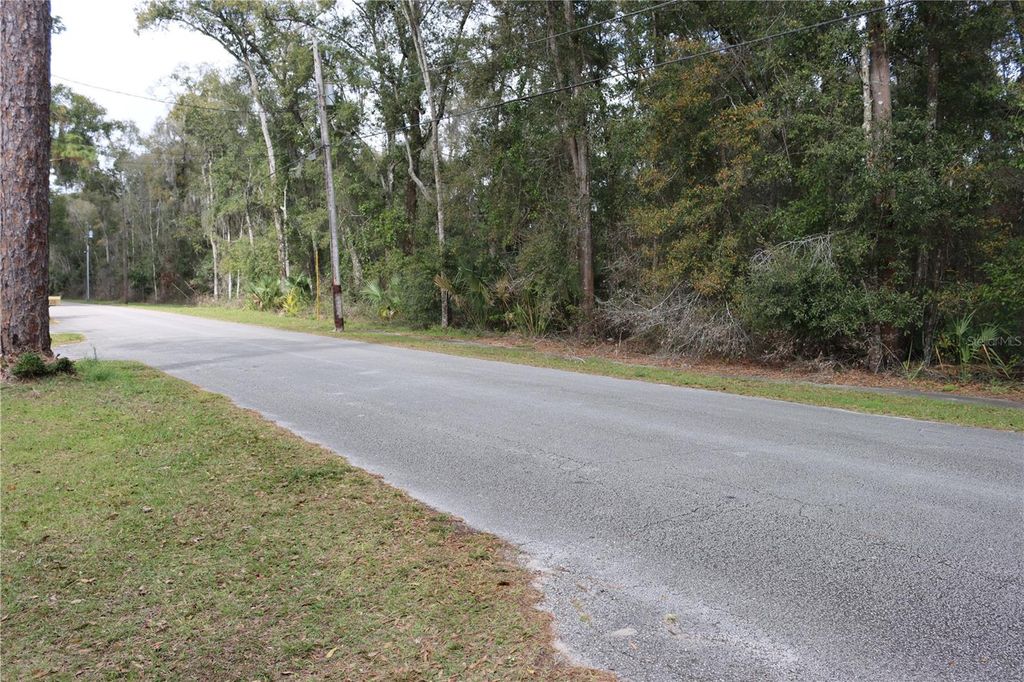 Photo of 1845 Lemon Street, Deland, FL 32720 (MLS # O5982557)