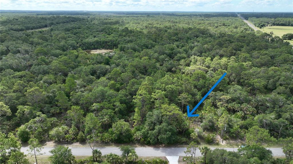 Photo of 12196 W Bluebell Drive, Crystal River, FL 34428 (MLS # TB8397162)