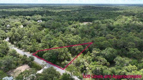 12196 W BLUEBELL DRIVE CRYSTAL RIVER FL 34428