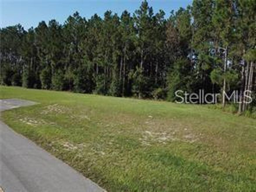 Commercial lake front !!!!!Unique opportunity in Umatilla: corner C-2 commercial lot offering a rare dual advantage—direct frontage and high visibility on State Road 19, along with direct access and lake views. Ideal for a project seeking constant traffic exposure and a distinctive location enhanced by its waterfront component. This property provides easy access from major area roadways and an excellent position for a business focused on branding, strong market presence, and differentiation. In addition, public references indicate that infrastructure improvements and corridor planning initiatives are being considered along SR 19, further strengthening the area’s long-term growth potential.