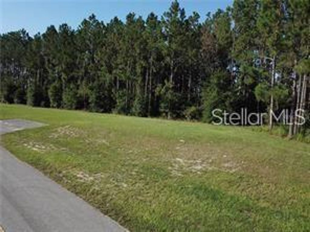 Photo of Lake Smith Road, Umatilla, FL 32784 (MLS # S5147385)