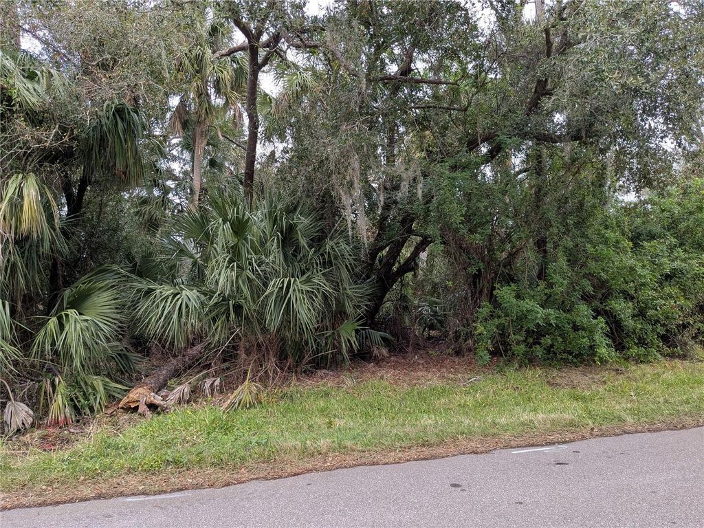 Photo of 22438 Blanchard Avenue, Port Charlotte, FL 33952 (MLS # C7503521)