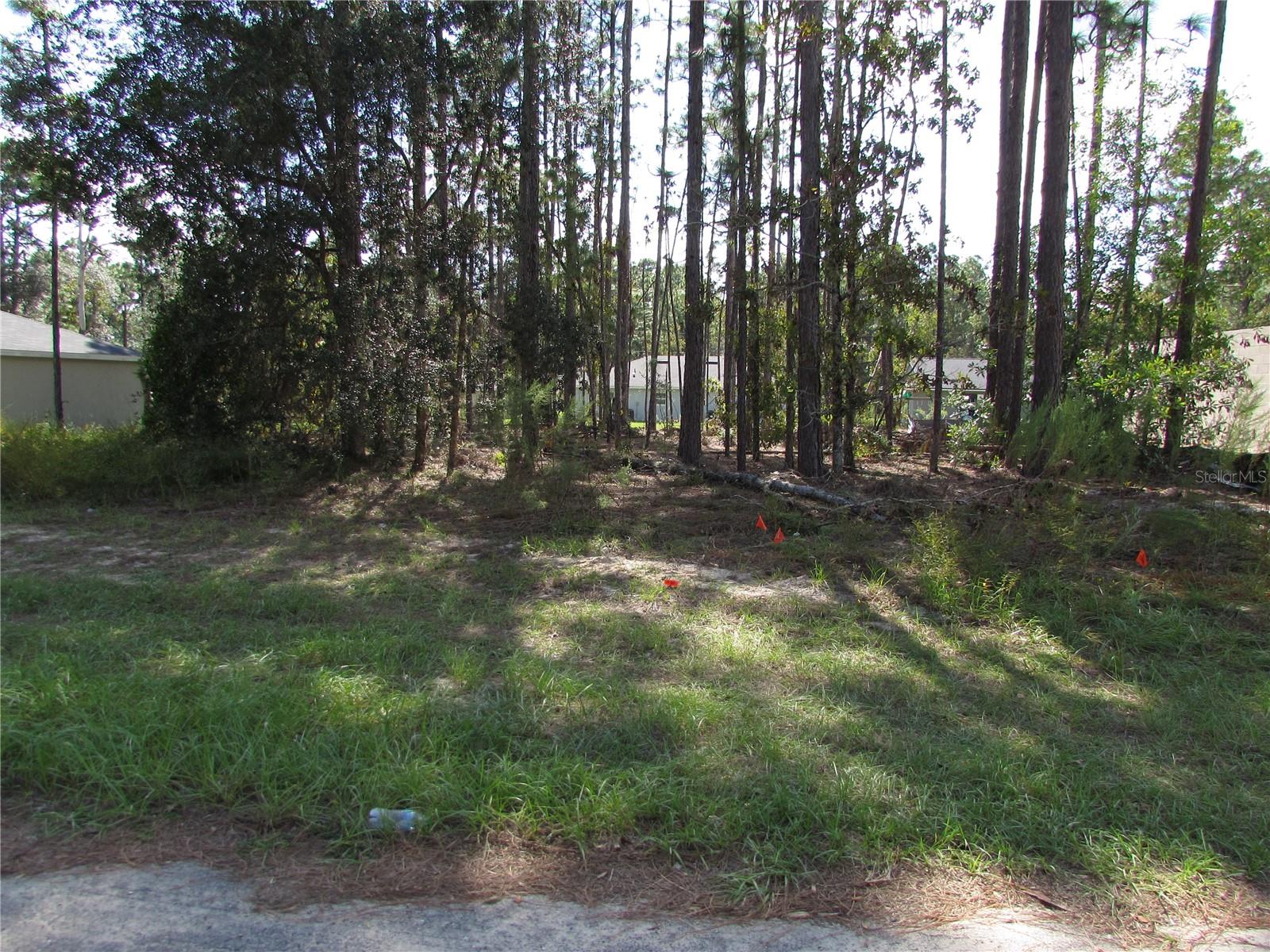 CITRUS SPRINGS - Land