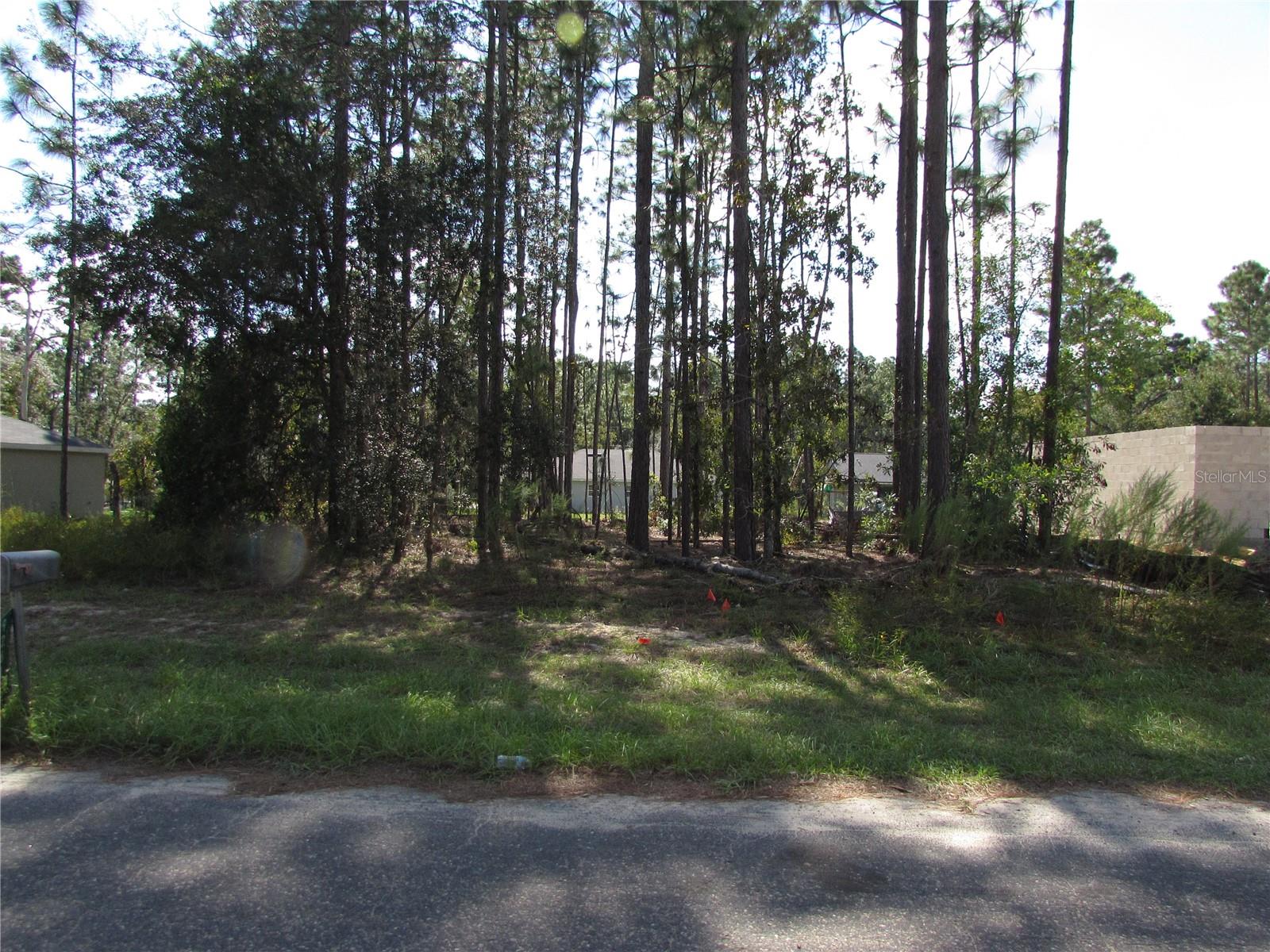 CITRUS SPRINGS - Land