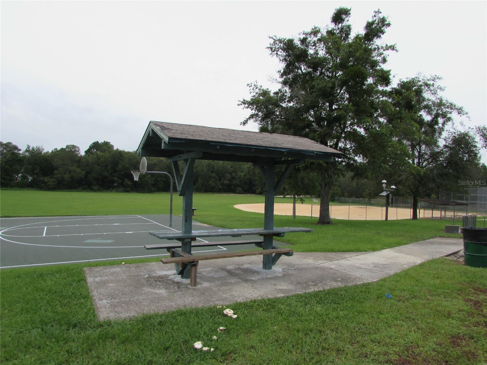 CITRUS SPRINGS - Land