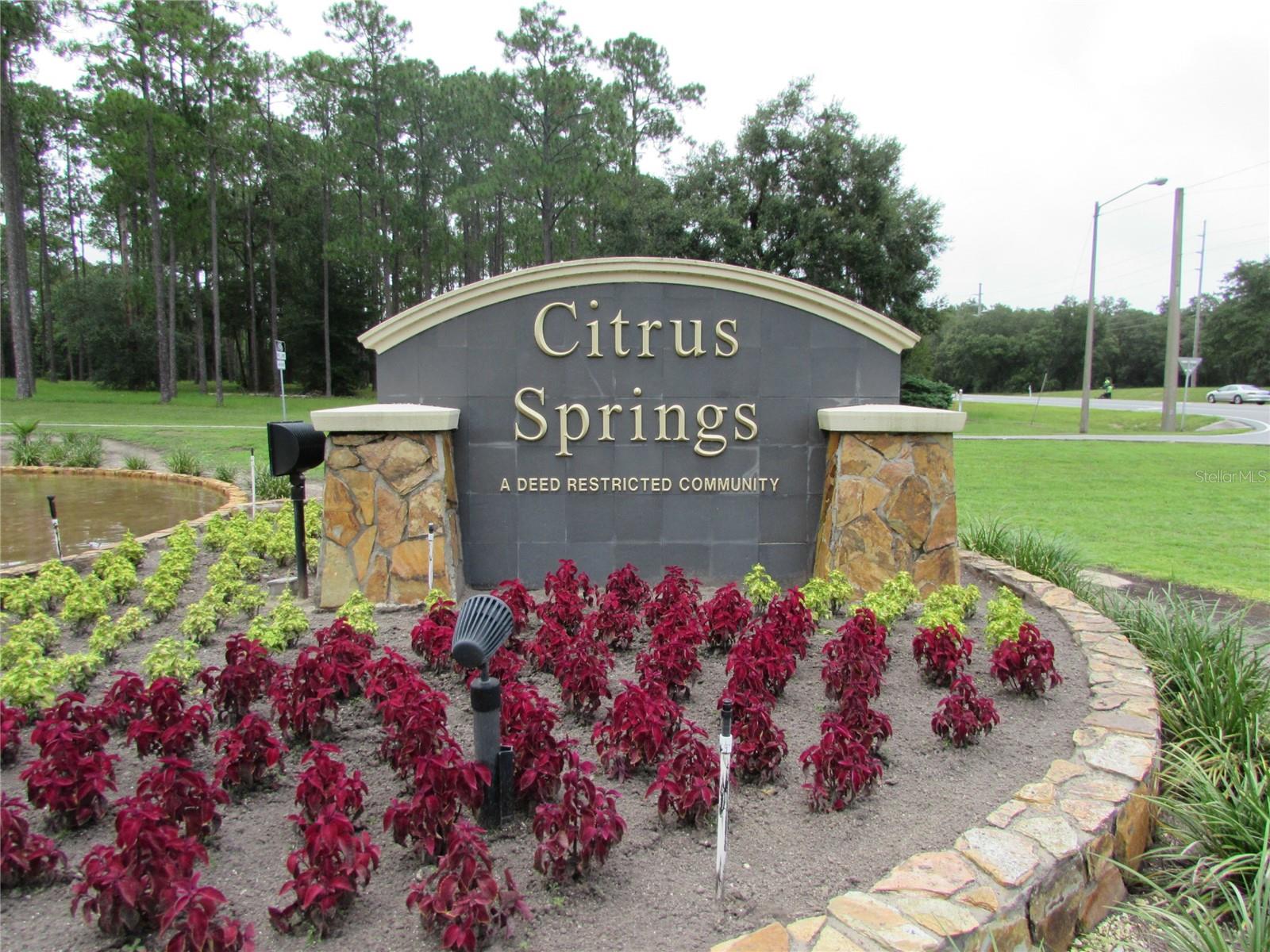 CITRUS SPRINGS - Land