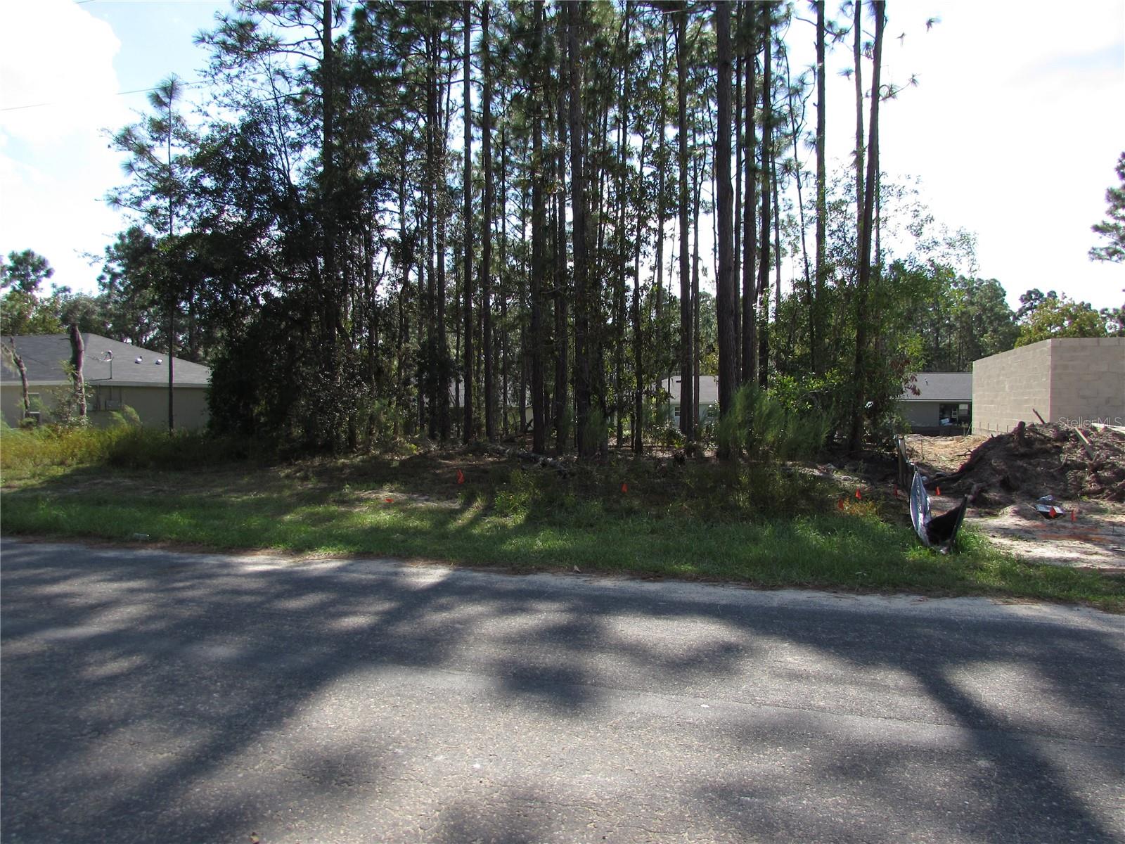 CITRUS SPRINGS - Land