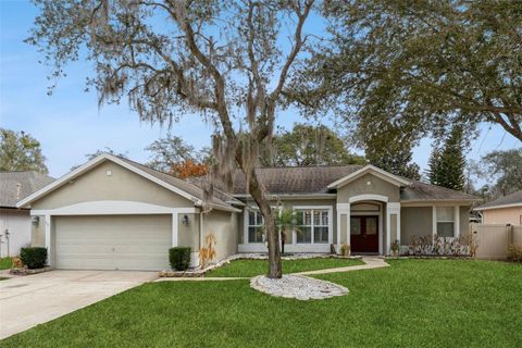 Photo of 1087 Shimmering Sand Drive, Ocoee, FL 34761 (MLS # O6382595)