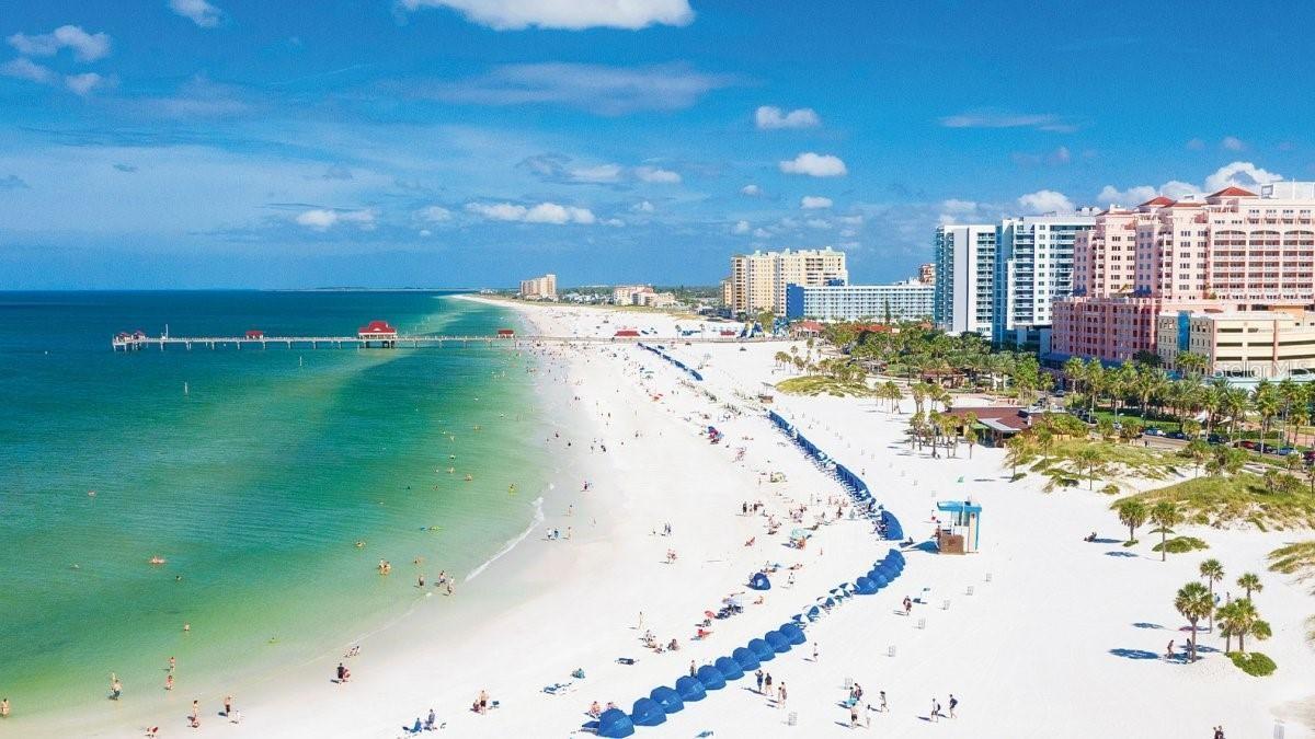 DOLPHIN COVE CLEARWATER - Residential Lease