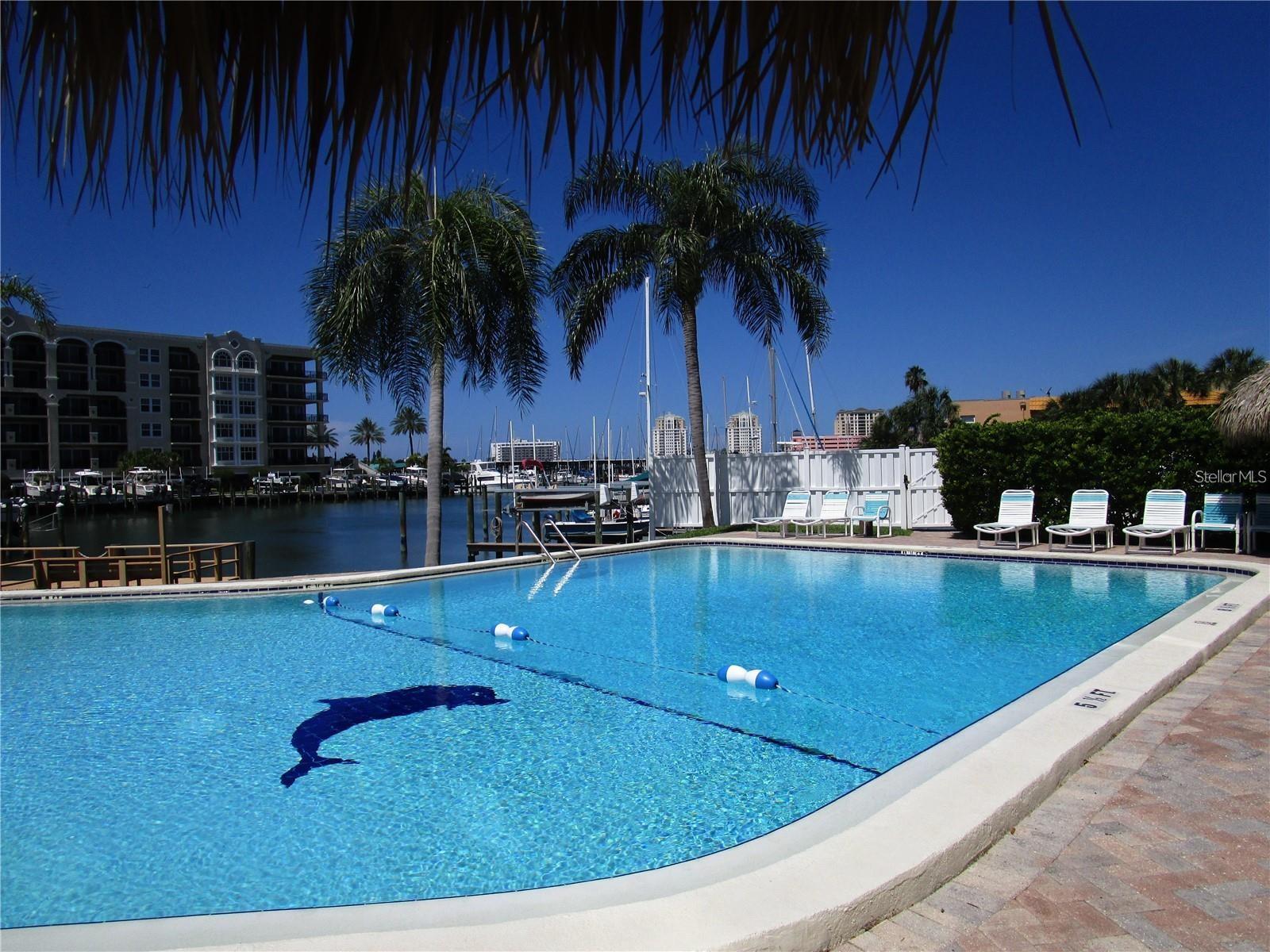DOLPHIN COVE CLEARWATER - Residential Lease