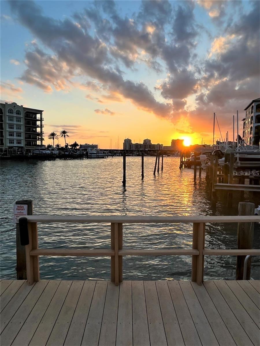 DOLPHIN COVE CLEARWATER - Residential Lease