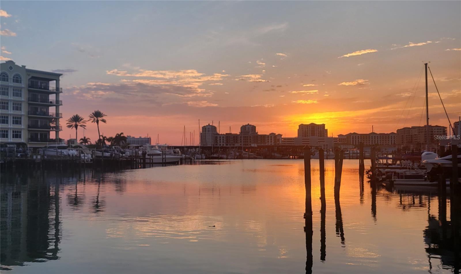DOLPHIN COVE CLEARWATER - Residential Lease