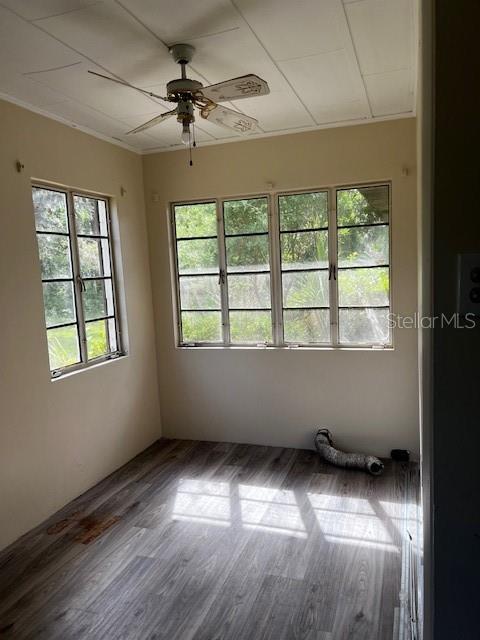 EUSTIS ROSENWALD GARDENS - Residential Lease