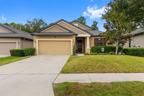 Photo of 107 Elina Sky Drive, Seffner, FL 33584 (MLS # TB8508799)