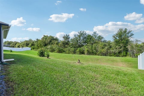 Tiny photo for 121 Harvest Gate Boulevard, Groveland, FL 34736 (MLS # O6451381)