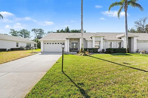 Photo of 11220 Hollander Avenue, Hudson, FL 34667 (MLS # TB8471718)