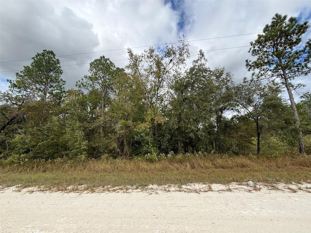 Photo of 11 Red Marlin Avenue, Weeki Wachee, FL 34614 (MLS # W7881550)