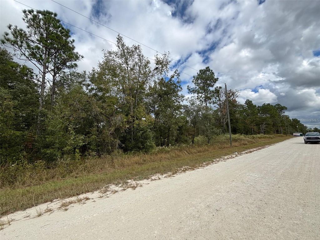 Photo of 11 Red Marlin Avenue, Weeki Wachee, FL 34614 (MLS # W7881550)