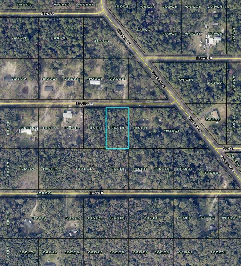 Photo of 4525 Fredrick Street, Hastings, FL 32145 (MLS # TB8467556)