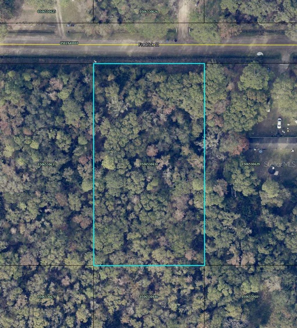 Photo of 4525 Fredrick Street, Hastings, FL 32145 (MLS # TB8467556)