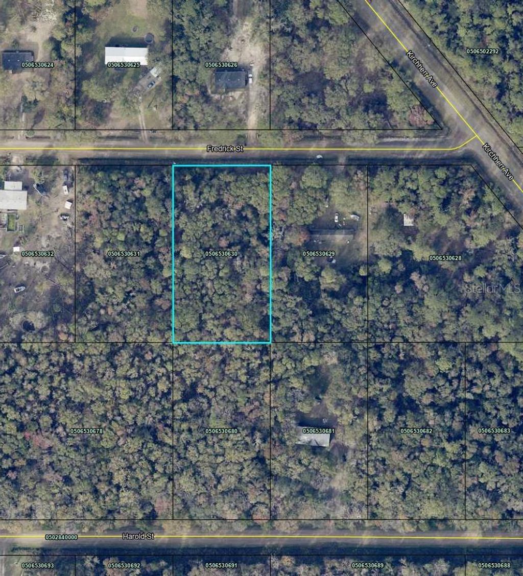 Photo of 4525 Fredrick Street, Hastings, FL 32145 (MLS # TB8467556)