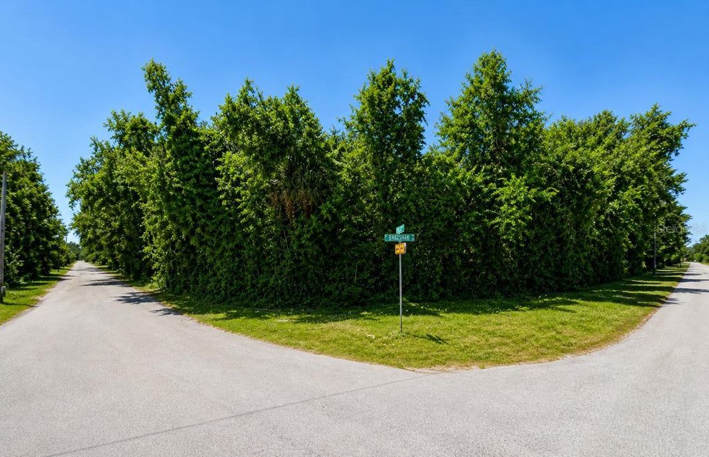 Photo of 8340 W Bradshaw Street, Homosassa, FL 34448 (MLS # O6404541)