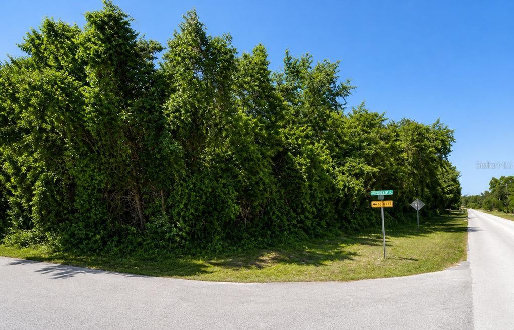 Photo of 8340 W Bradshaw Street, Homosassa, FL 34448 (MLS # O6404541)