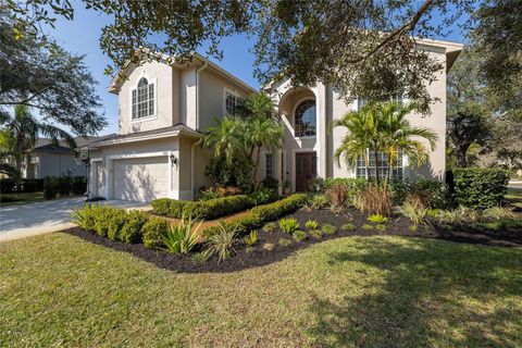 A home in PALM HARBOR