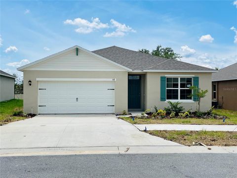 A home in HAINES CITY