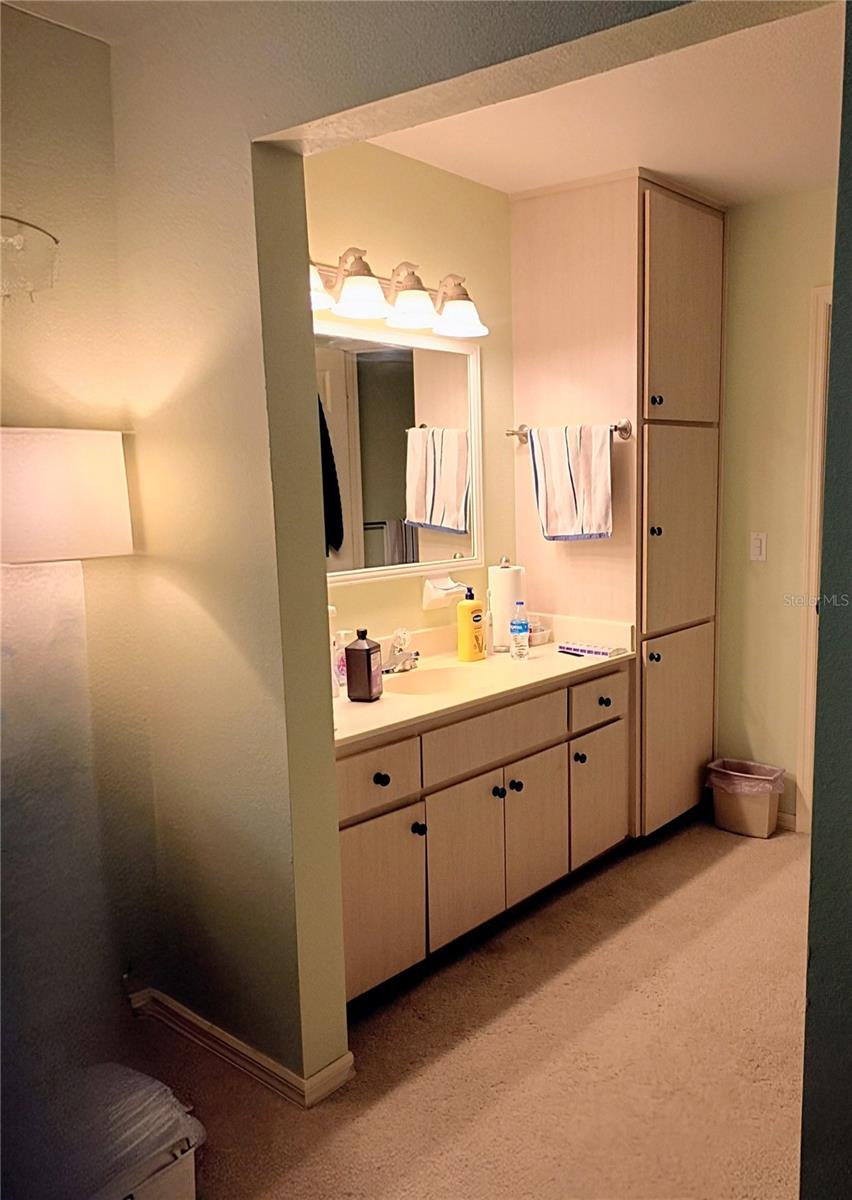 TOWN HOMES AT SPRUCE CREEK PRESERVE - Residential