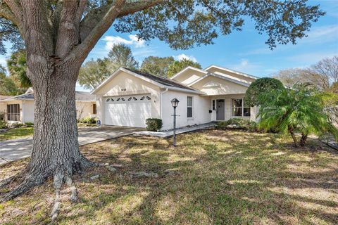 9064 SW 91ST CIRCLE OCALA FL 34481