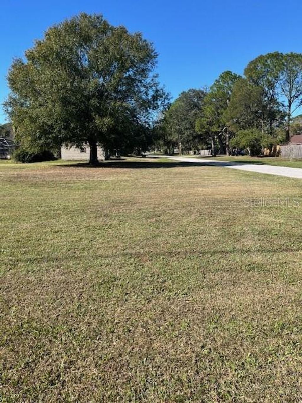 Photo of 589 Marie Drive, Zephyrhills, FL 33541 (MLS # TB8455931)