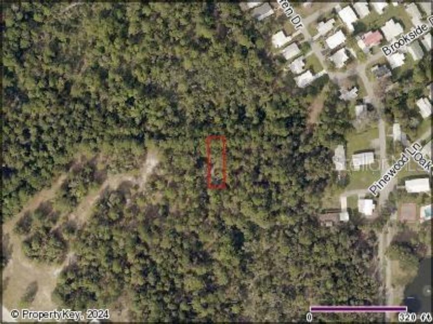 ANOTHER PRICE REDUCTION!! Beautiful, wooded lot of unimproved land located near US-441 and downtown Mount Dora.  Zoned mobile home residential.  Buyer and/or buyer's agent to verify all information regarding this property.  Don't miss out on this opportunity!