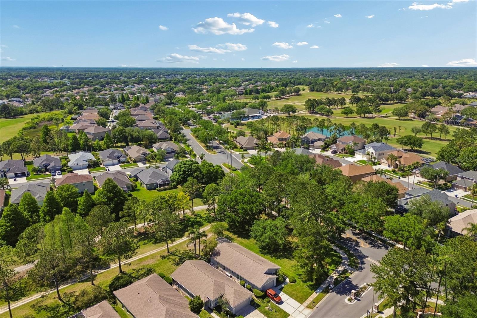 PLANTATION PALMS - Residential