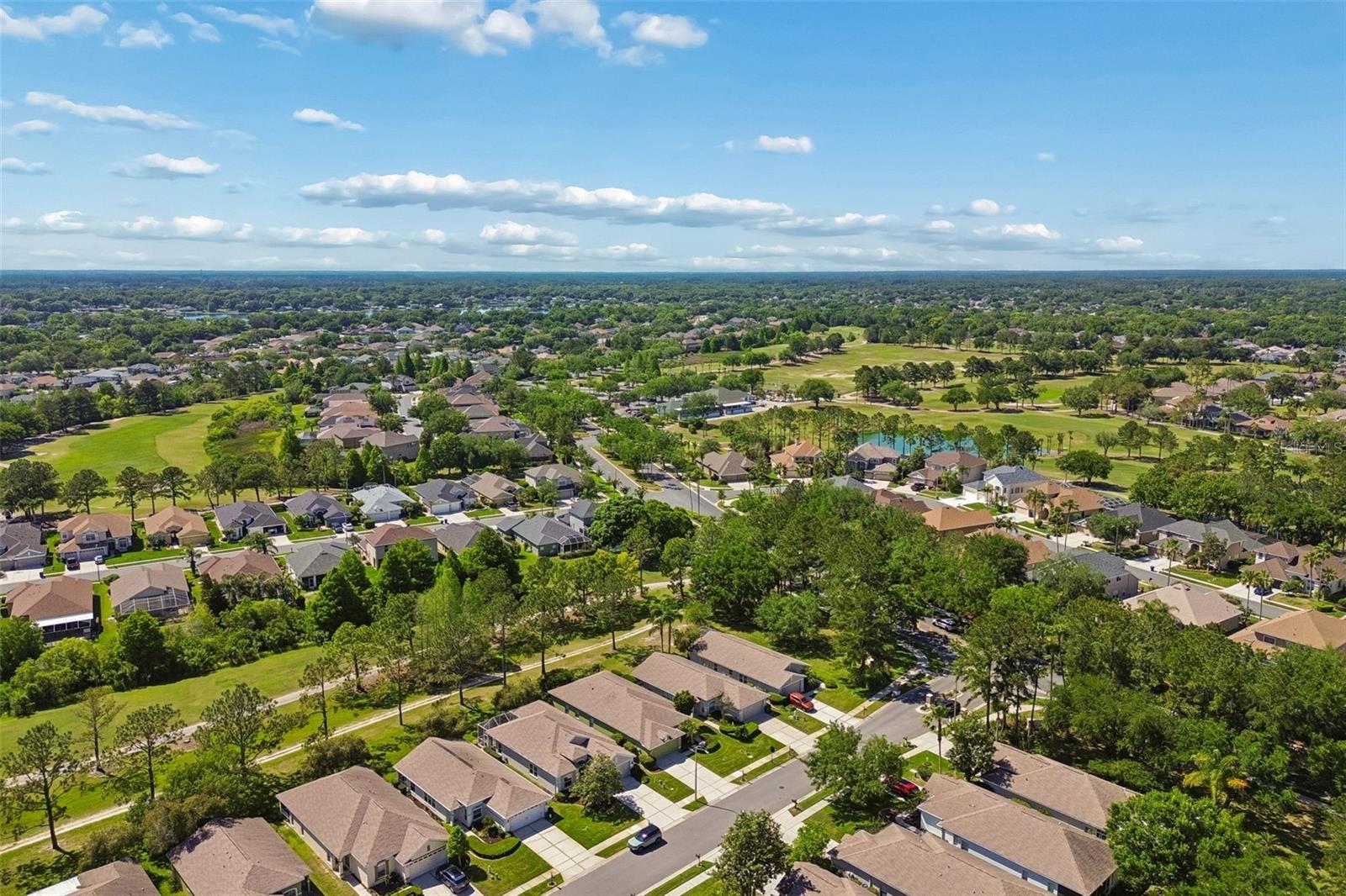 PLANTATION PALMS - Residential