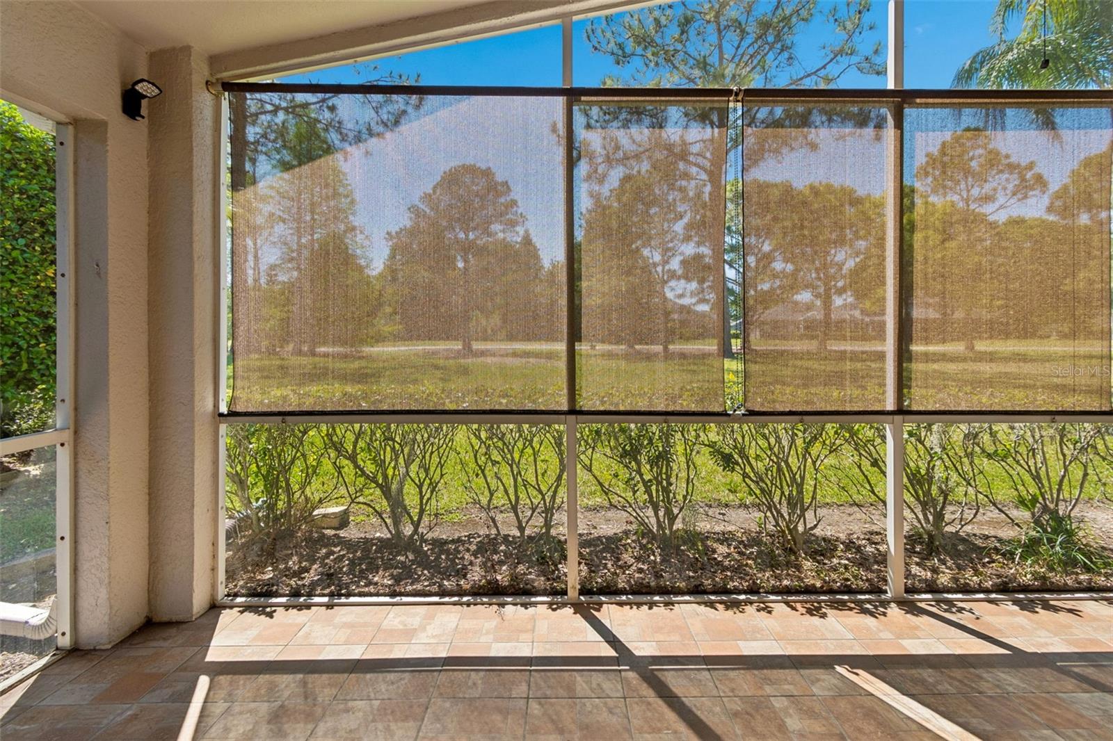 PLANTATION PALMS - Residential