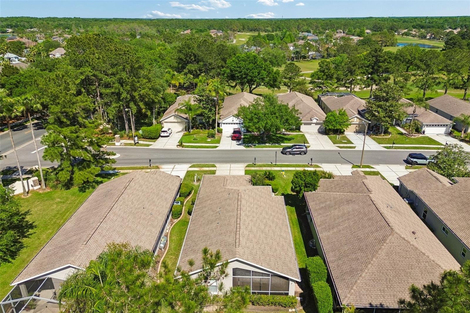 PLANTATION PALMS - Residential