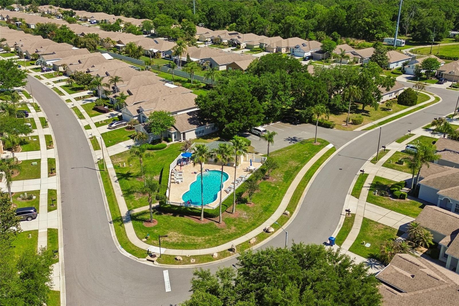 PLANTATION PALMS - Residential