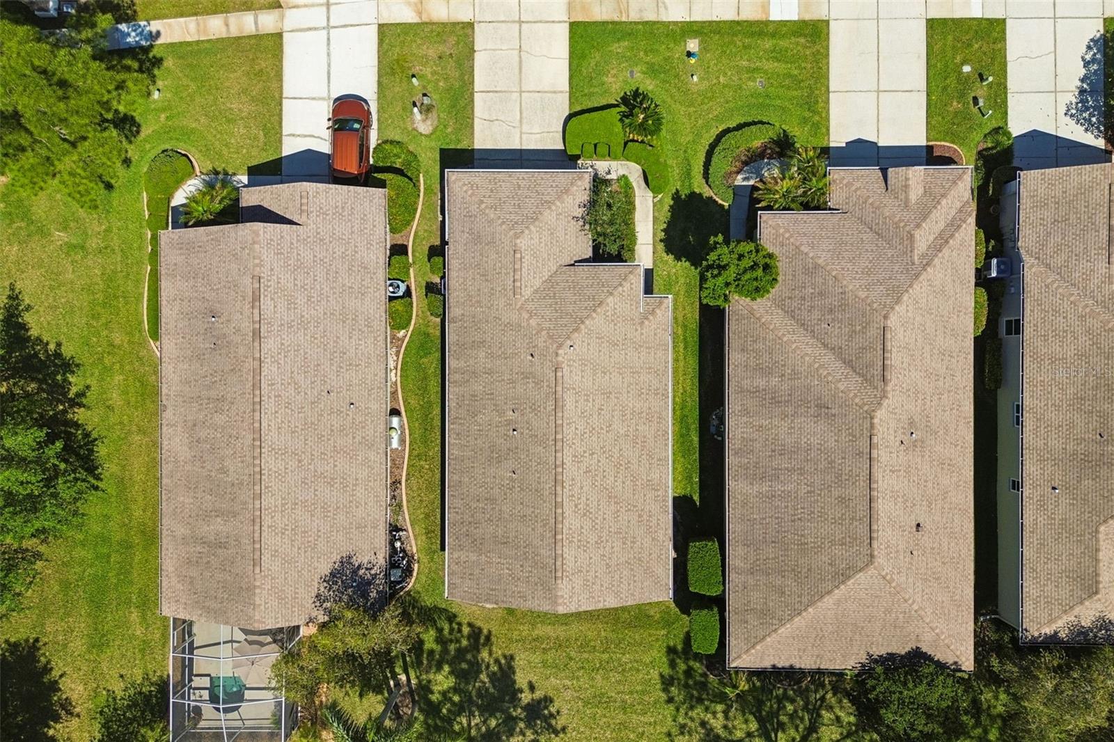 PLANTATION PALMS - Residential