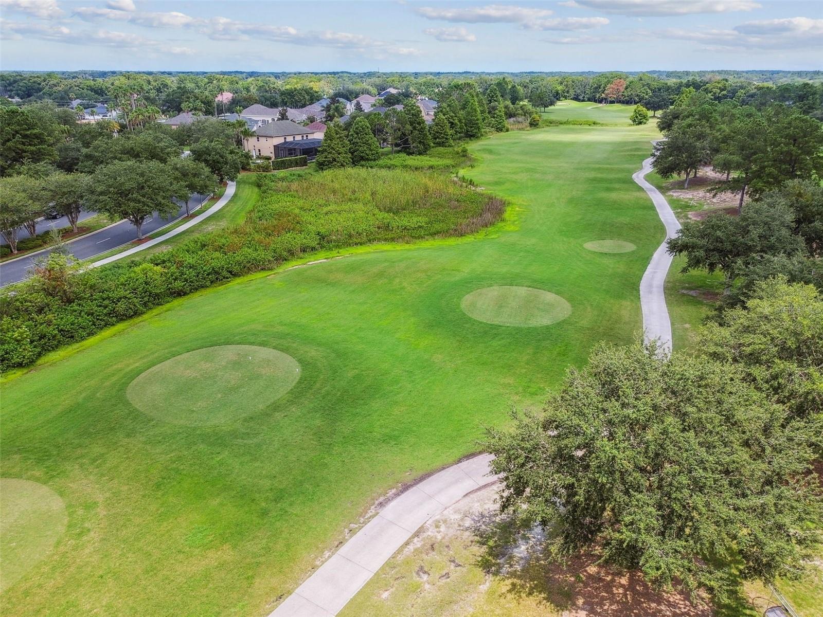 PLANTATION PALMS - Residential