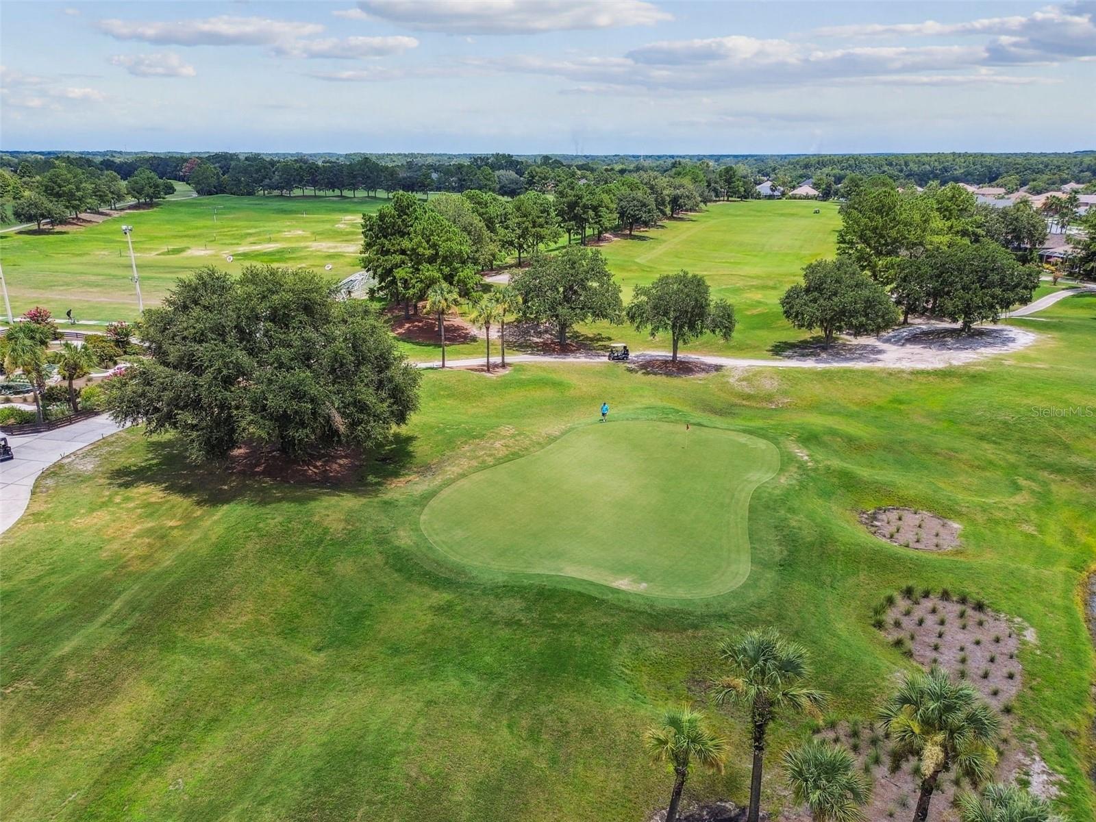 PLANTATION PALMS - Residential