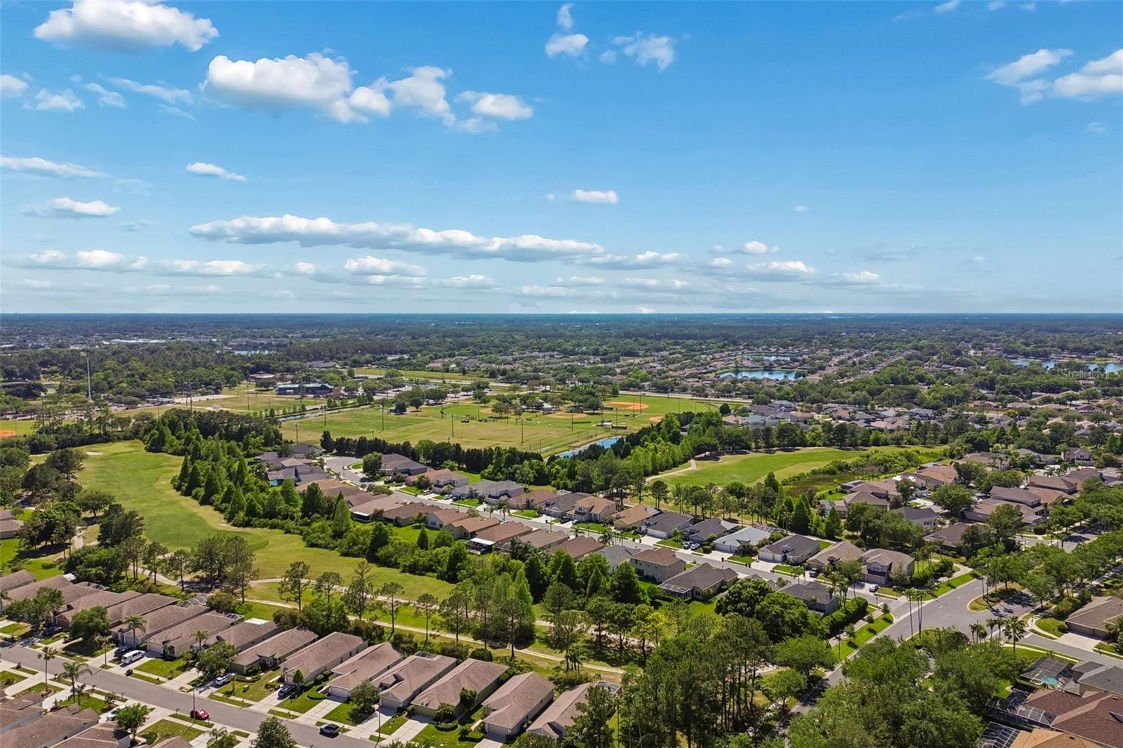 PLANTATION PALMS - Residential