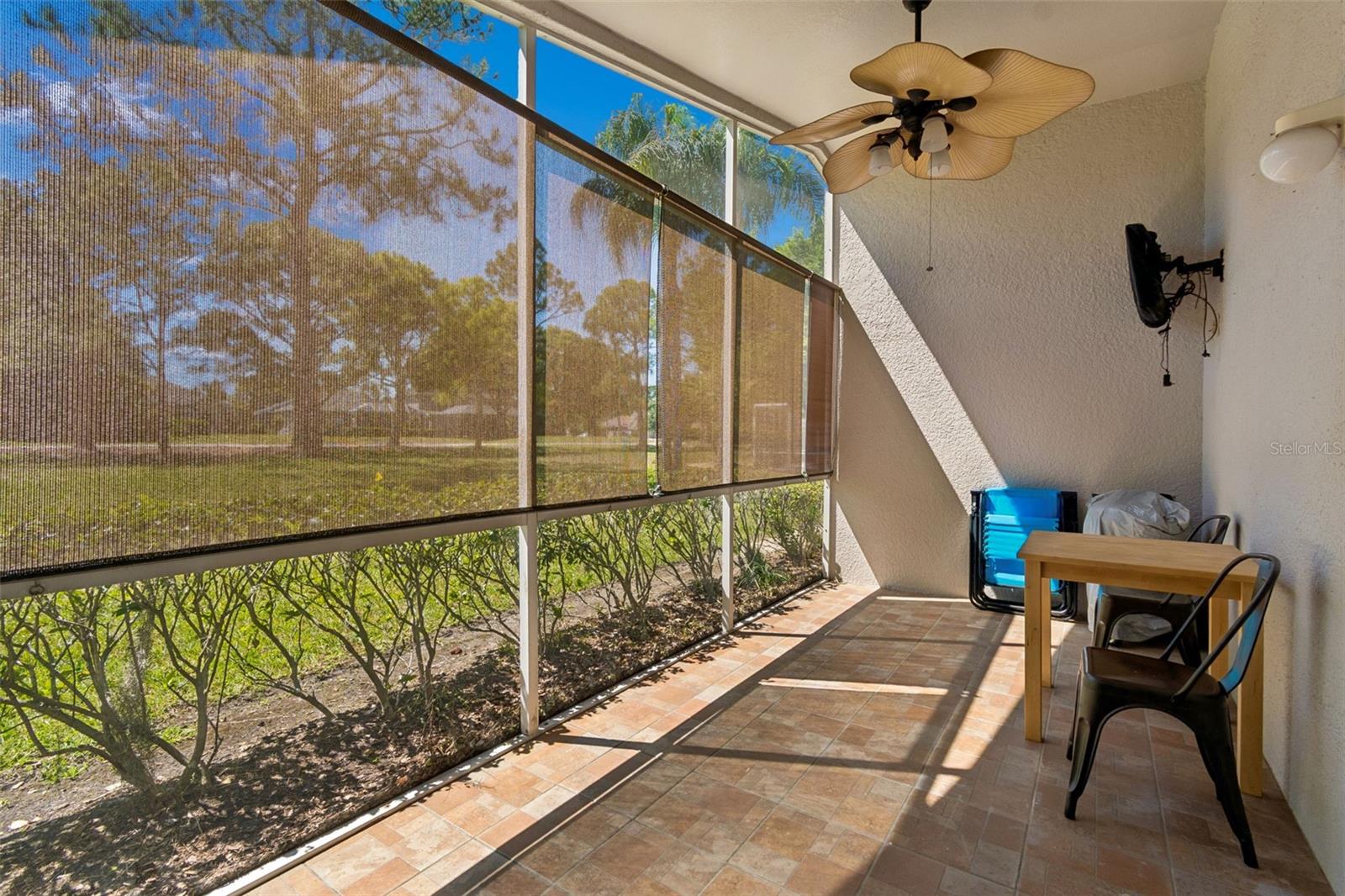 PLANTATION PALMS - Residential