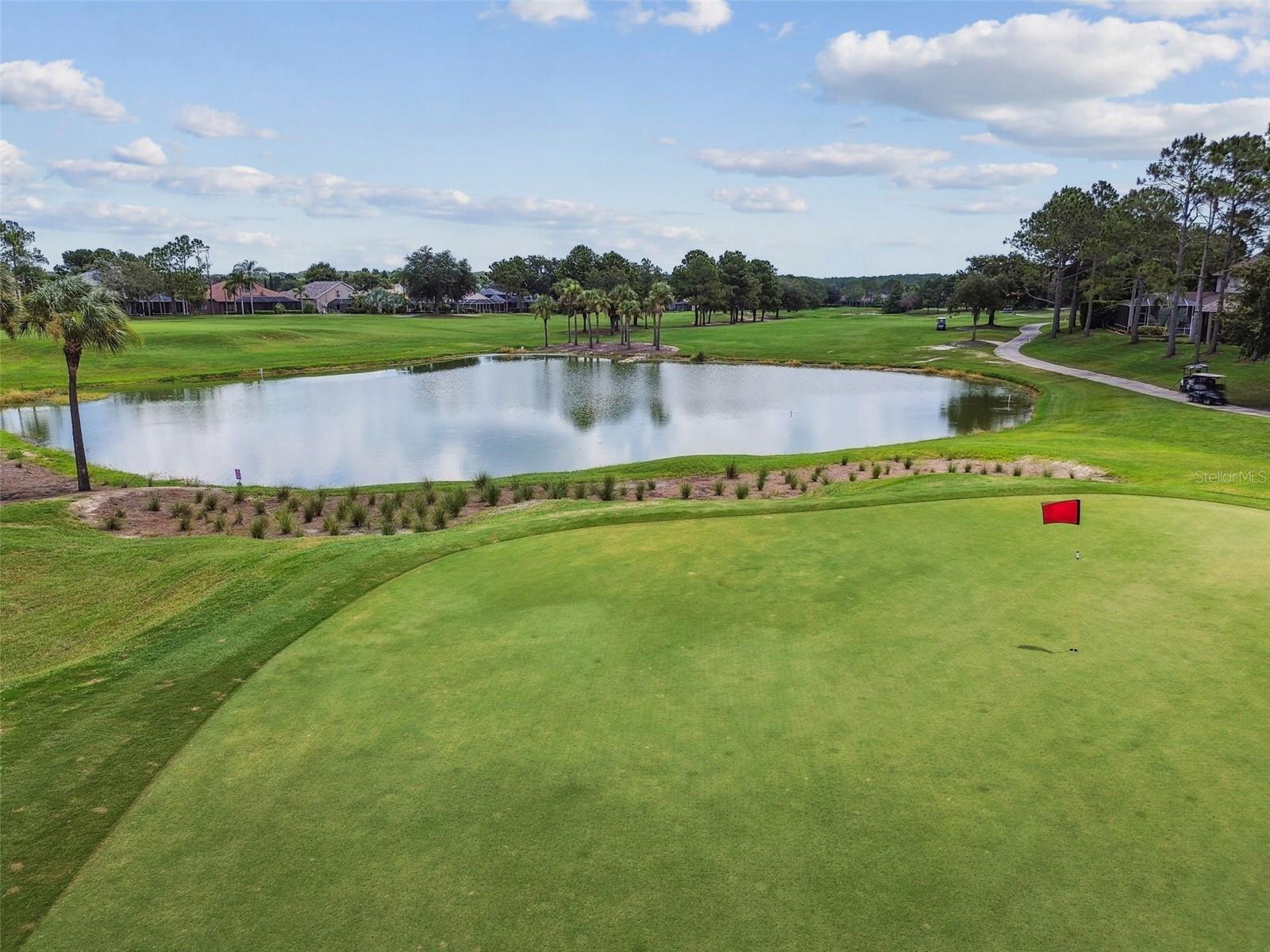 PLANTATION PALMS - Residential